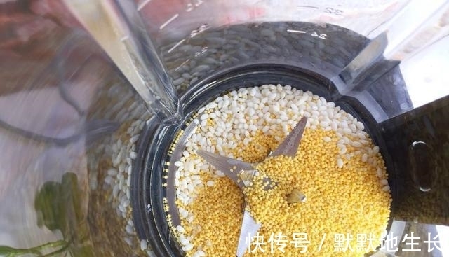 它被称为“软黄金”,钾铁锌含量极高,营养滋补又健脑,别不懂吃