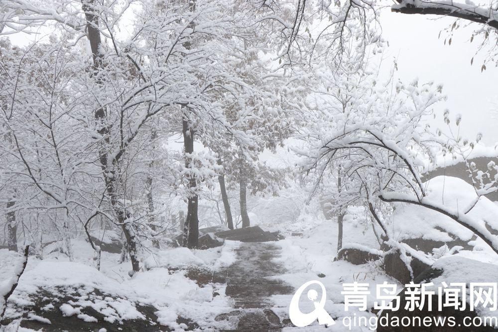 景区|崂山巨峰景区正常开放 游人雪中登崂山