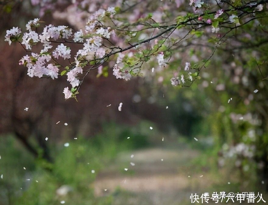 苏轼@张孝祥四首《菩萨蛮》回文词,不输苏轼,不知您是否读过?