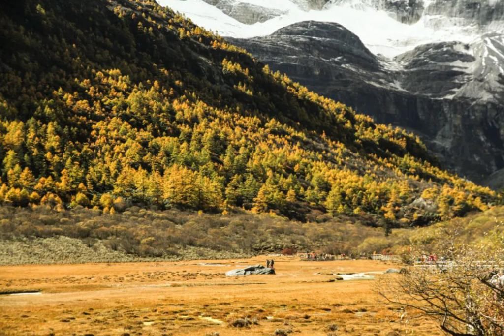 那片理想乐土|中国又一“人间天堂”爆火！左手峡谷，右手雪山！