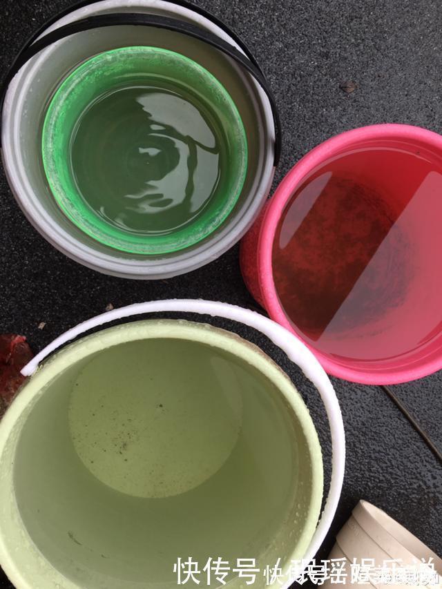 浇花|花盆里冒一层白霜，原来有大危害，抓紧清理