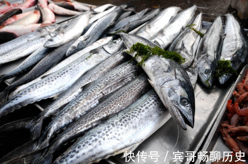 爱吃鱼,认准4种买,目前无法人工养殖,营养高味道鲜,还便宜