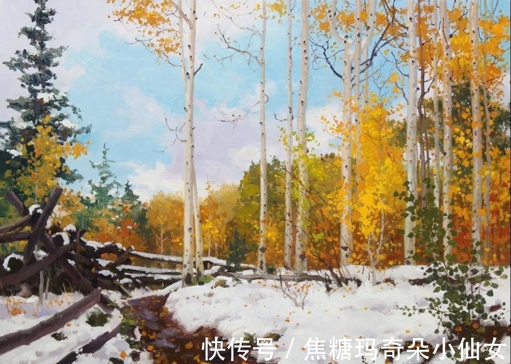 美国肖像协会!白桦林之美