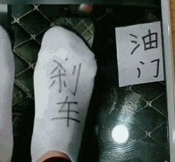 |搞笑GIF：本来我也想吃一口 但是碍于面子没张口