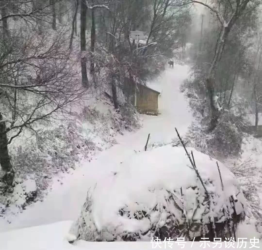 雪鉴|冬晚雪鉴：朱山映雪与中国雪的意象