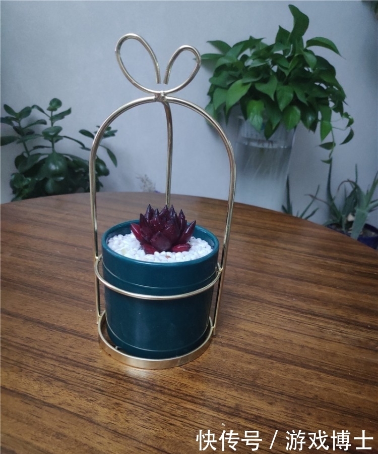 一肉一世界，一方一净土