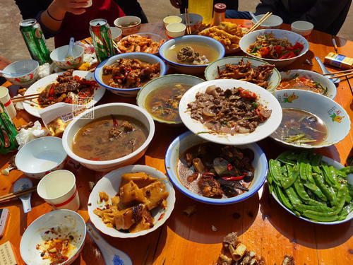 賓客們|參加農(nóng)村二舅60歲壽宴,隨了500元祝壽,18道菜剩大半:不敢恭維