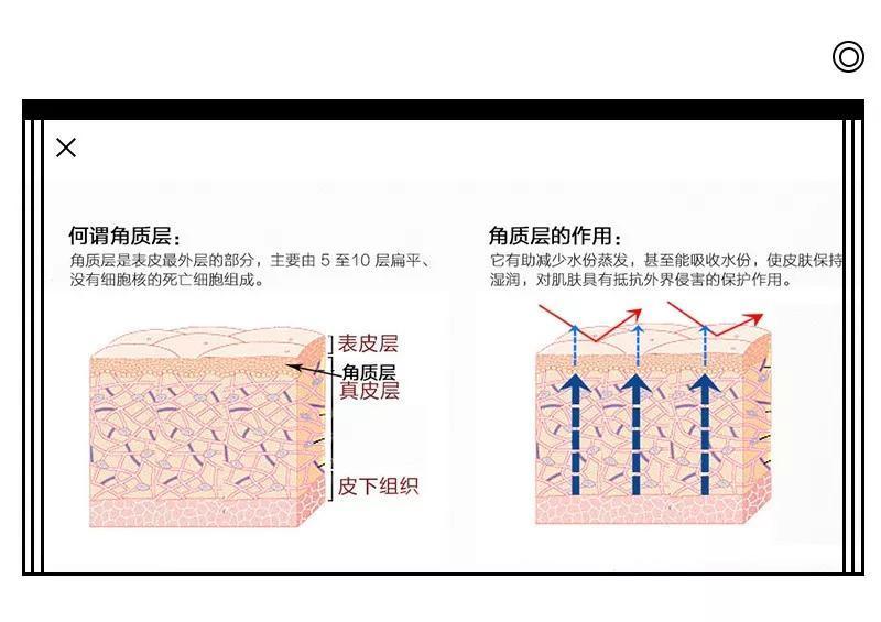 角质层|夏日护肤，如何保持肌肤水感？瑞可娜告诉你！