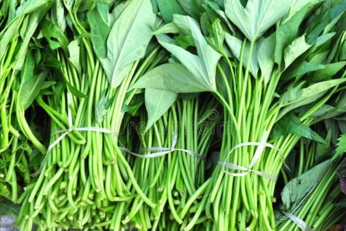 红薯|炒红薯叶,直接炒还是先焯水?都错了,教你一招,口感脆嫩不发黑