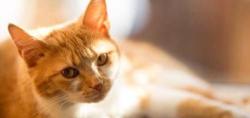 生活环境|生日尾数是几的孩子,一生注定不平凡,出人头地,父母少操心