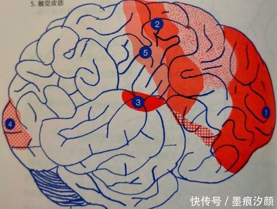 别跟孩子一般见识,他们脑子还没长好呢!