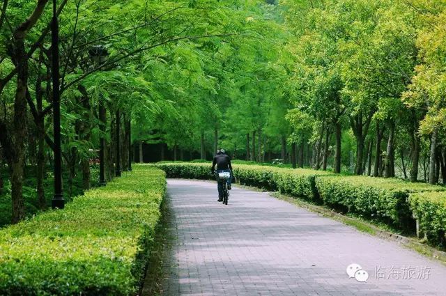 骑行|秋游临海必做的10件小事，登山、骑行、肩并肩看日出...想想就好浪漫