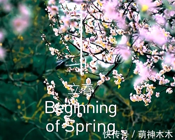 收视|北京冬奥会开幕收视出炉!最高破9.7,毫无悬念拿下全频道第一