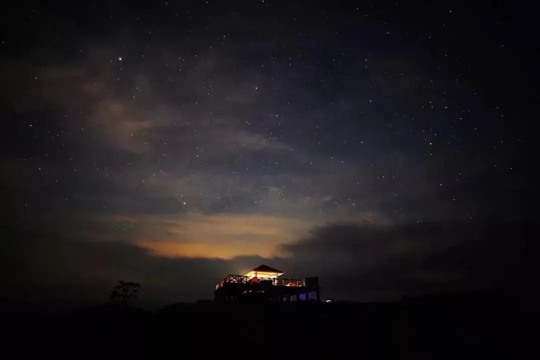 星空|芦花飞“雪”！秋末初冬的限定美景，再不来打卡可就要错过啦！