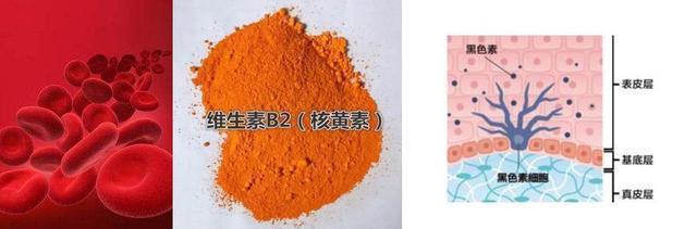 穿搭|不懂肤色、请不要随便穿,最专业“显白穿搭”,黑黄皮女人请收藏