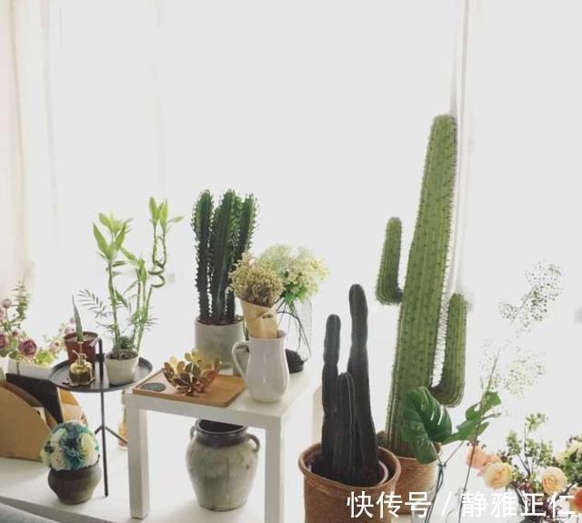 飘窗|吐槽飘窗没用?是因为你没好好设计,8种布局方案很实用