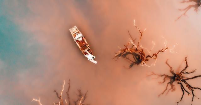  古诗|轻轻松松十分钟，带你了解中国古诗发展简史