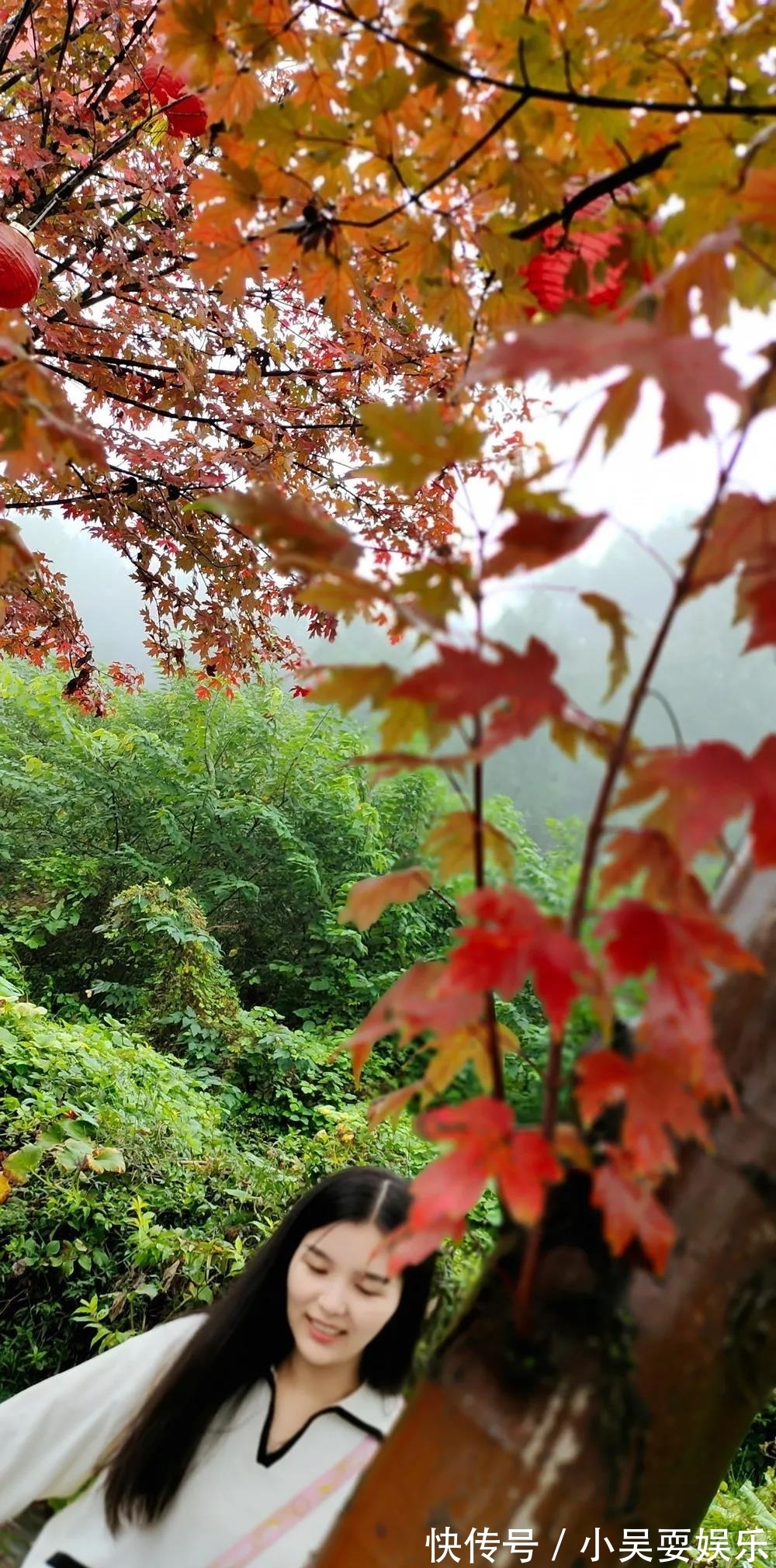 枫叶|平昌这里的枫叶红如火，快约！