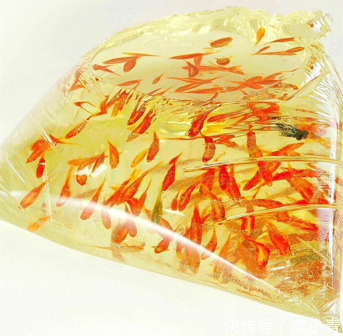 绘画@画师用特殊手法画出堪比三次元的金鱼,不告诉你真相,你能发现吗