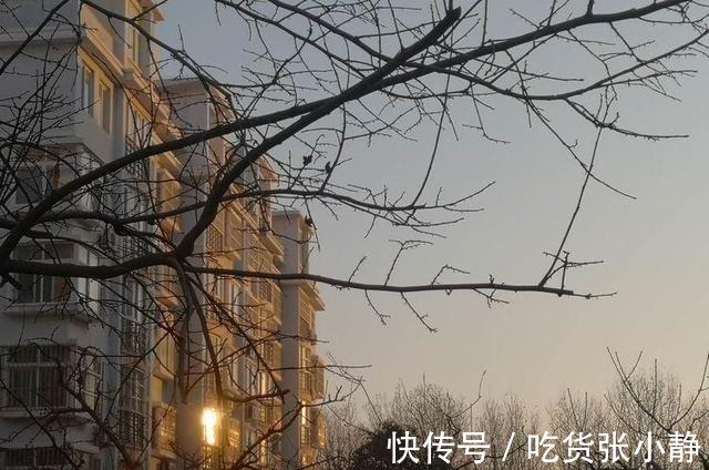 江城子&七律 天空(外五首)