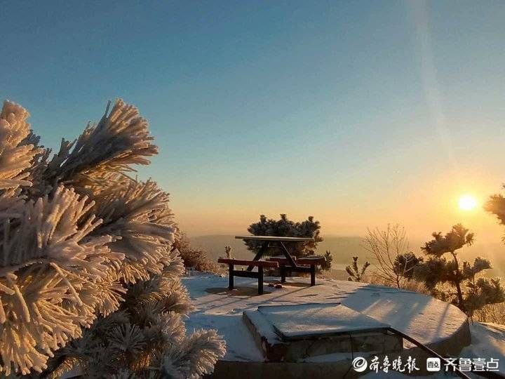 沂山|护林员镜头下的冬日沂山美翻了