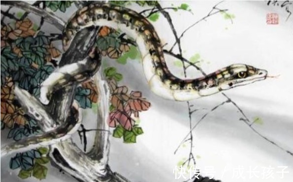 蛇人|十蛇九不全：揭秘65年生肖蛇的毕生寿命，过了55岁后什么命？