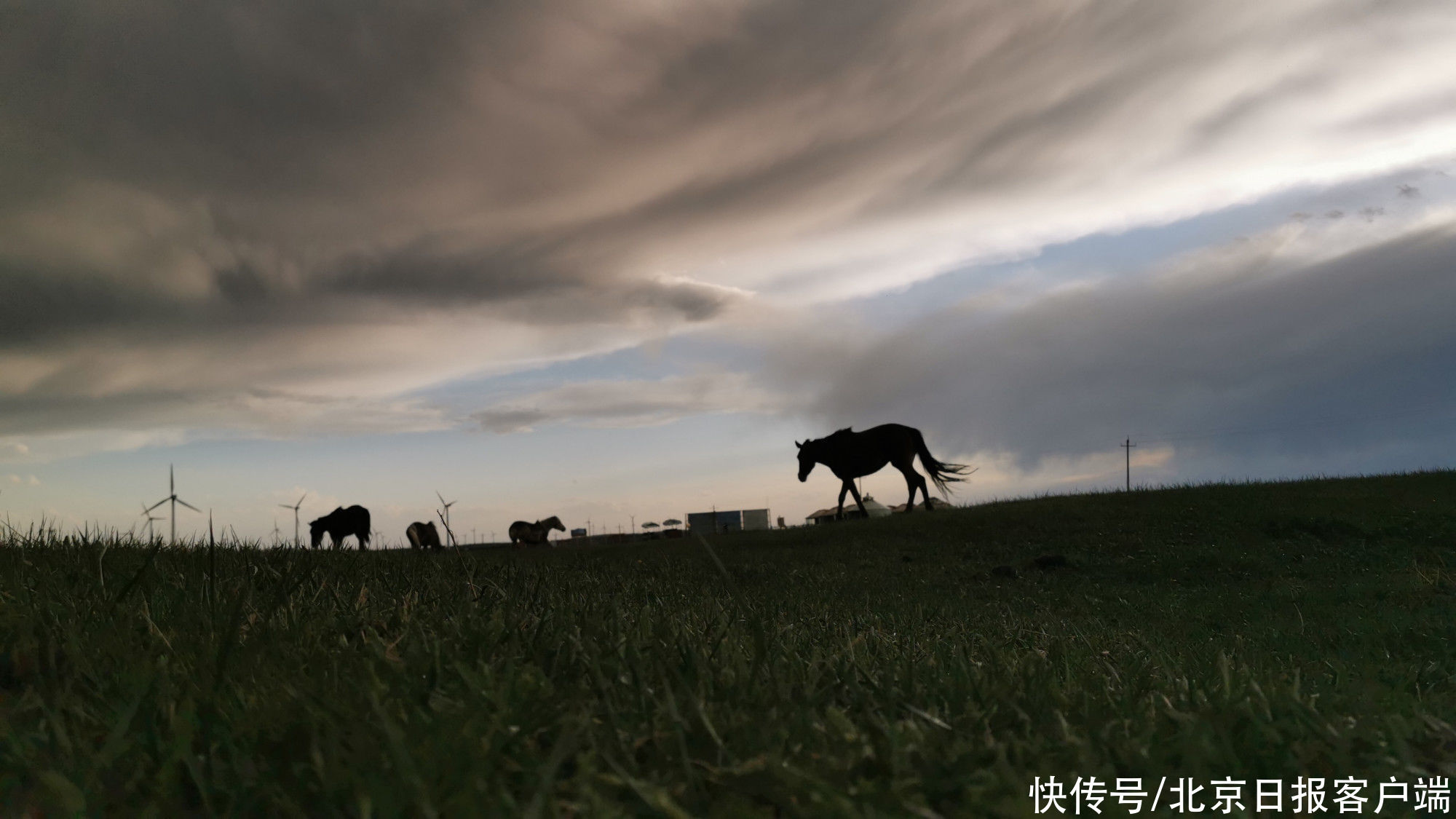 呼和浩特 七盟市在京力荐黄河“几字弯”从红色之旅到大漠胡杨 五条线路任君游