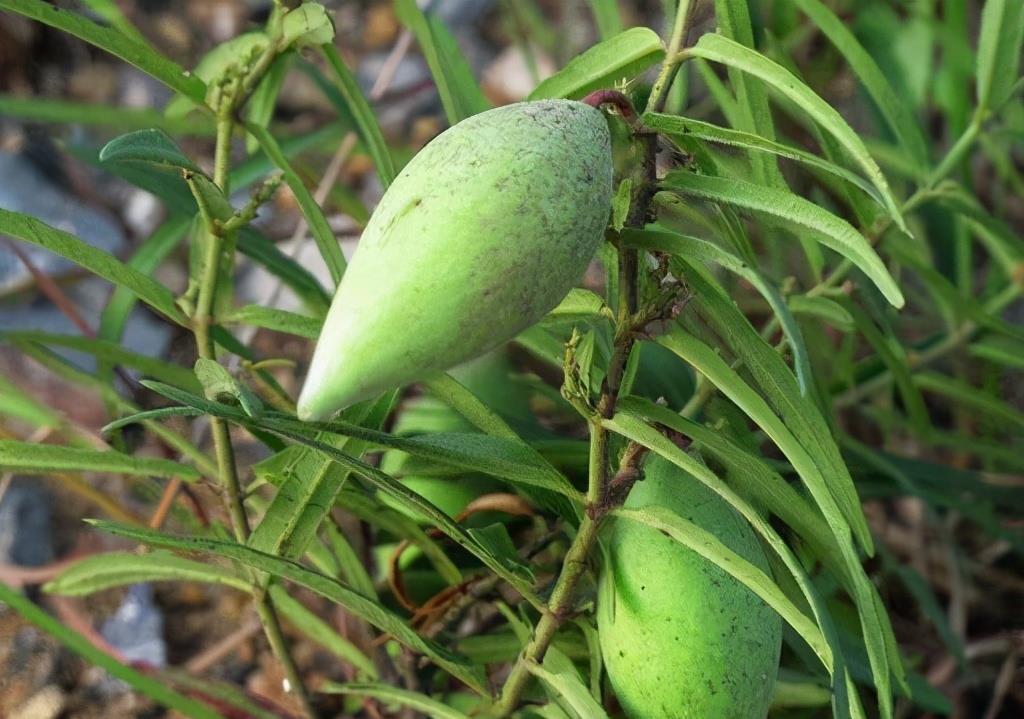 疾病最怕的3种食物,营养丰富、滋补身体,好处多多!