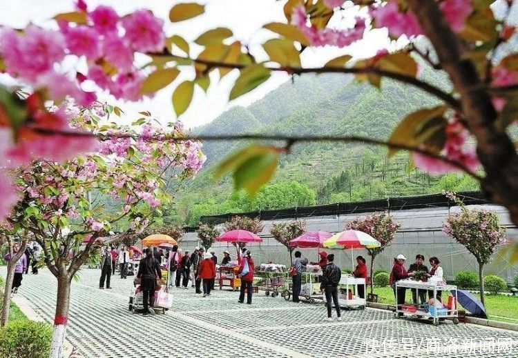 金米村|最美休闲乡村——柞水县金米村