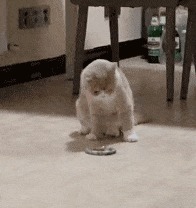 |搞笑GIF：妹子，你这太欺负人了，让你的粉丝情何以堪