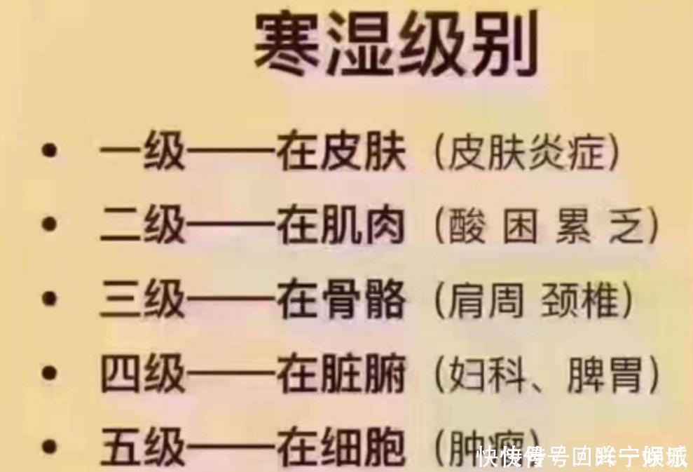 桂枝|千古除湿第一方,不伤体内正气,从根本上祛除湿气,用过的都说好