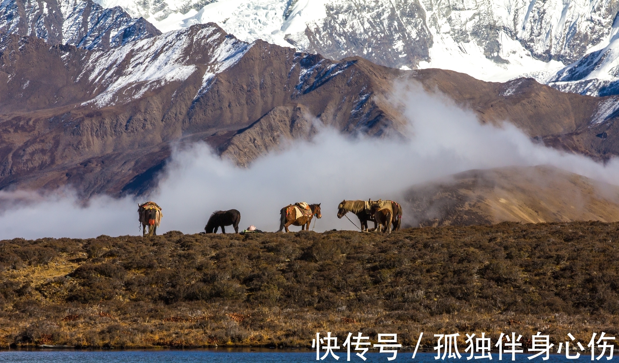 溪云#来自苦吟诗人的一首诗,把冬天写成了一幅画,其中佳句真不少