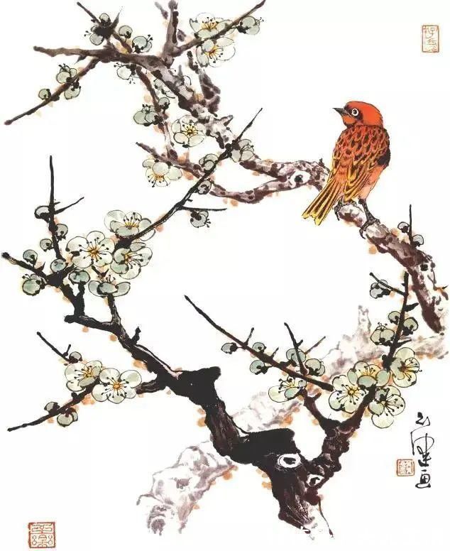 花鸟画@他的师父是海派小写意花鸟画第一人江寒汀,其作品自然也不差