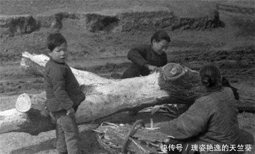 古代饥荒灾民吃不上饭,河里鱼虾泛滥,他们为何宁吃树皮也不捕鱼