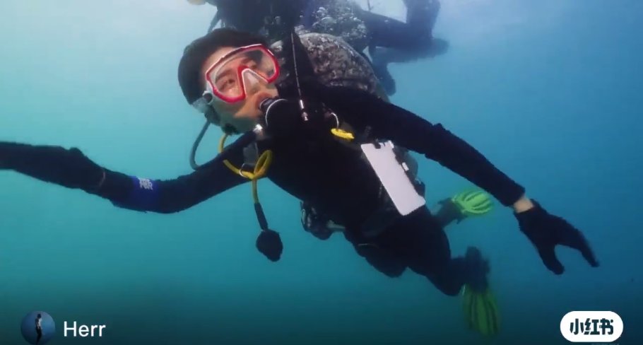 奔跑吧|210823 今日份治愈時刻 竟然還有沒見過的蔡徐坤三亞潛水視頻