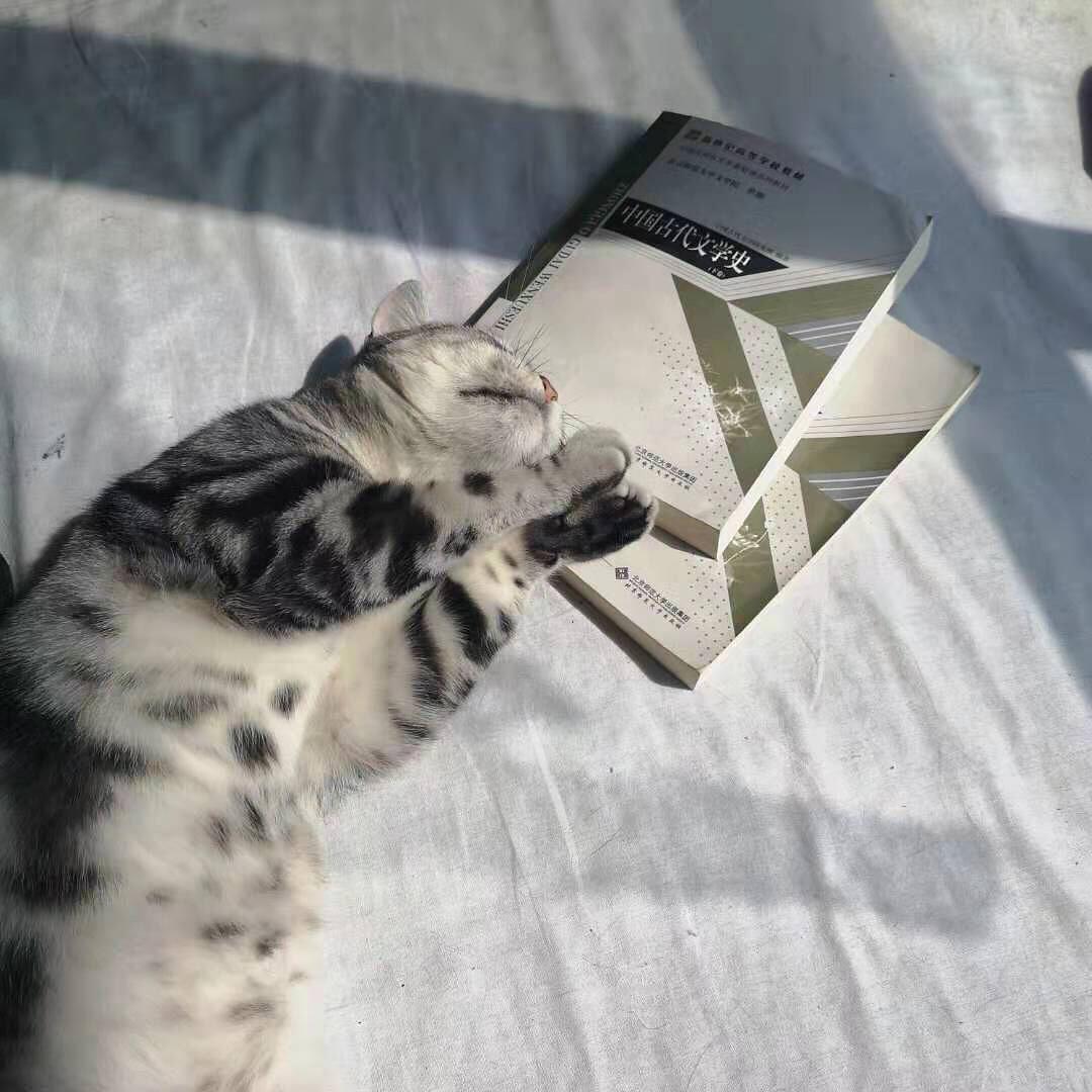 安眠药！书中自有黄金屋，书中自有“安眠药”，为啥很多人一读书就犯困