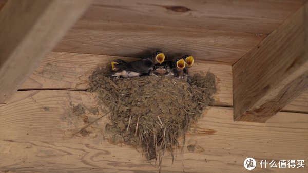 傳送門|超酷美食 篇十四：10部高分冷門美食電影，邊吃邊看，久看不膩，非常下飯，我不信你全看過！（附在線觀看地址）
