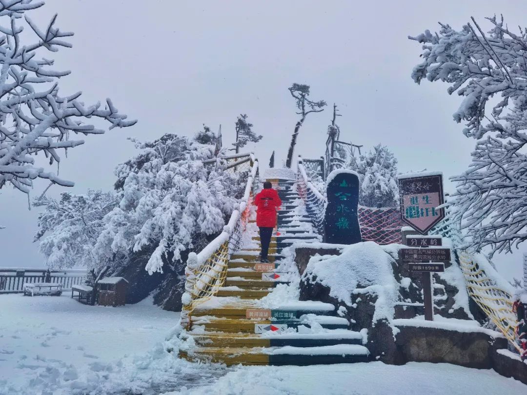 雪景|老界岭又下雪啦！这才是朋友圈最“冻人”的雪景！