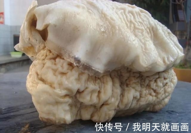 科学家们@一块卖出百万高价,太岁究竟是什么东西?科学研究揭开太岁之谜