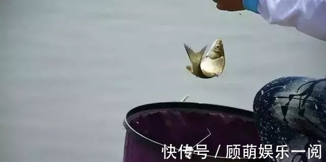 调漂|钓鲫鱼总是顶漂正常么?看完邓刚顿口调漂教学,野钓还是顶漂香