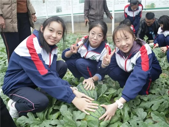 劳动教育|奎文区圣卓实验学校让劳动教育落地生根