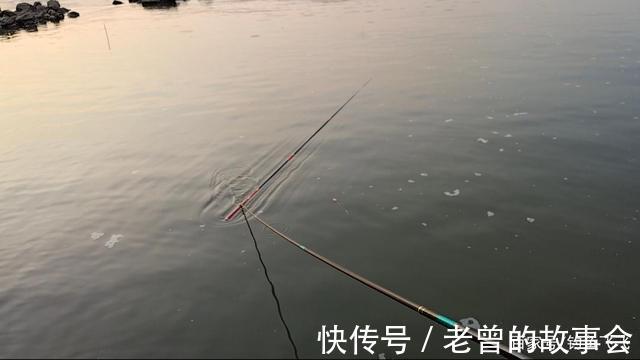 每年都有钓鱼人被蛇咬伤而倒下,最可怕的其实被我们忽略掉了!