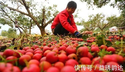 食物|注意：這5類食物是“藏糖高手”，糖尿病患者記得遠離