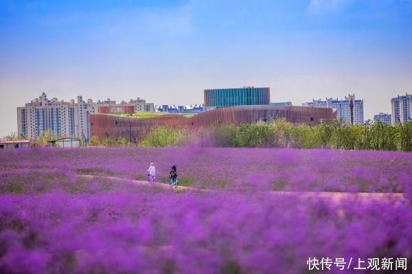 传奇|上海奉贤：奋力追梦，创造“变不可能为可能”的传奇