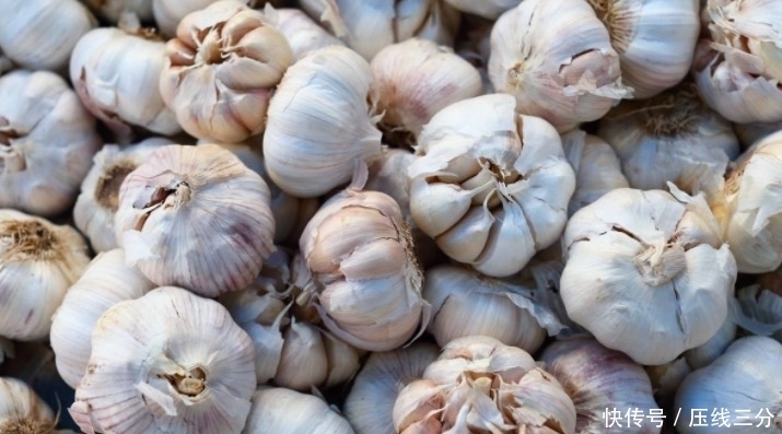 从不|聪明的人从不碰此大蒜,更不吃,你知道为什么吗?快来了解一下