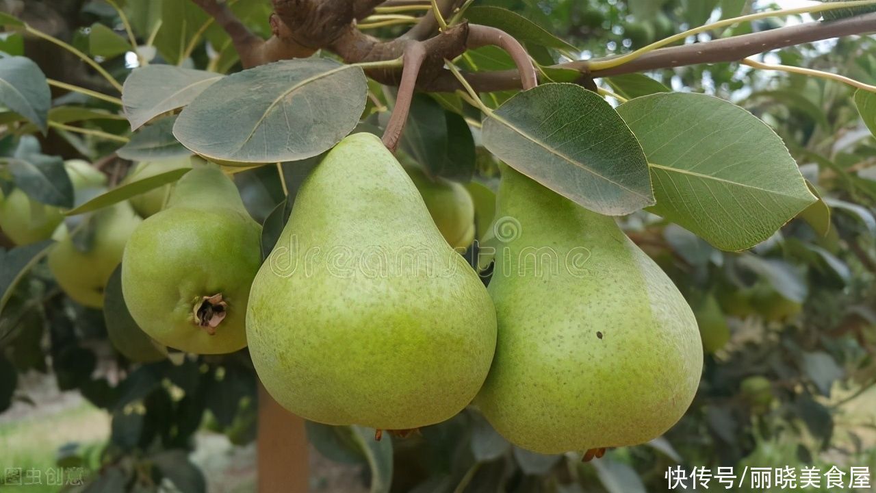 入秋后,不管有钱没钱,这5种碱性水果常吃,尤其第3种,错过可惜