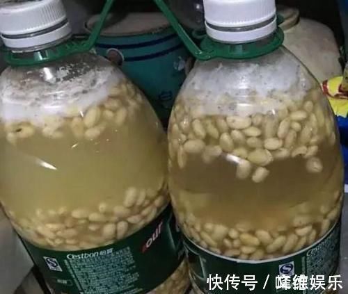 新叶|最厉害的养花营养液,给花喝一勺,四季不黄叶,新叶窜不停!