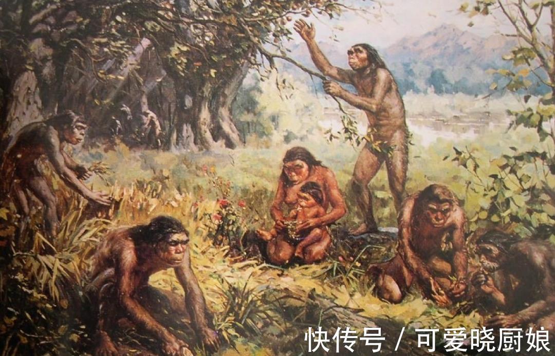 建筑|史前房屋只是用来睡觉的？古人的生活丰富多彩，住宅有多种功能