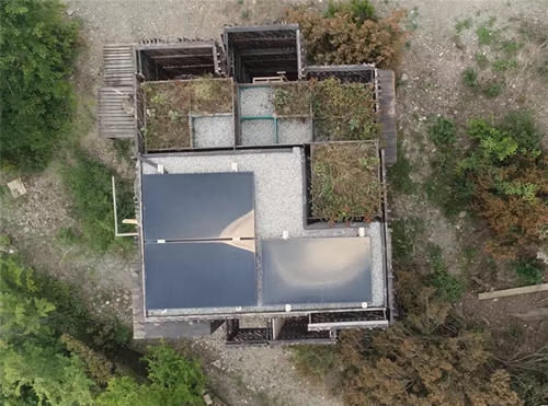 种菜|他用40棵松树,在荒山野林建起小屋,屋顶种菜生活自给自足