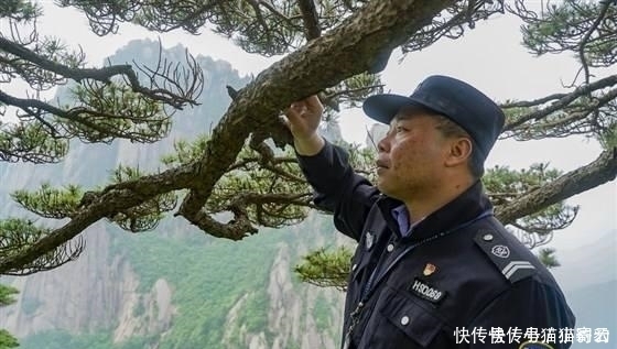 国内景点 这棵树警卫把守不让靠近拍照, 游客质疑这棵树是假的